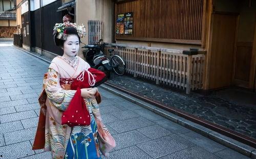 日本舞伎爆料事件视频播放,日本传统艺术背后的惊人内幕  第3张