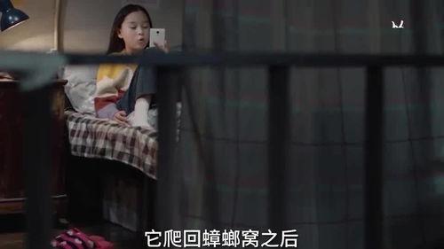 谁爆料柿子姐的视频播放  第3张